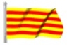 2014 Copa Catalana Olot Maig 2014 Copa Catalana Olot Maig