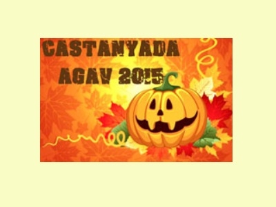 2015 Castanyada 2015 Castanyada